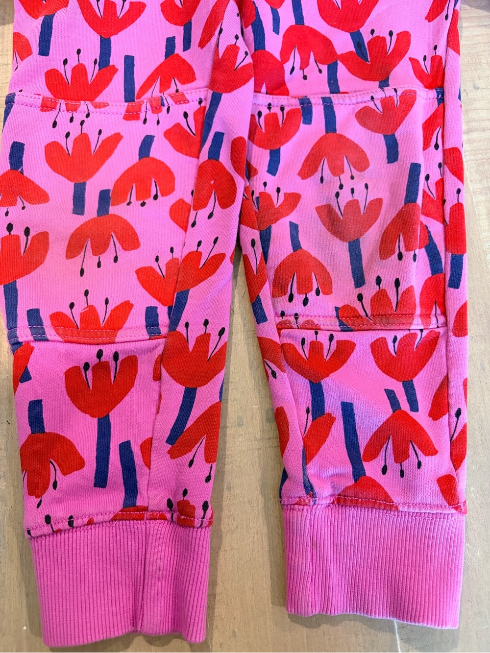 Hanna Andersson Pink Sweatsuit with Red Floral Print - Picture 6 of 6